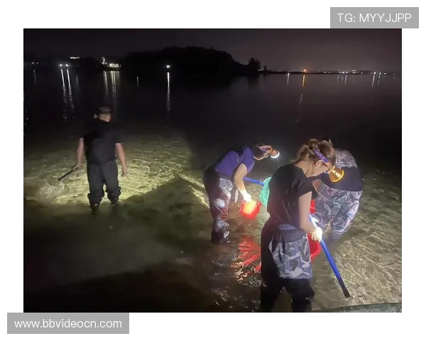 最新真人版手机捕鱼游戏推荐，享受高清画质和真实操作带来的沉浸式体验